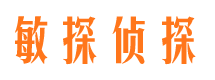 鹤城侦探公司